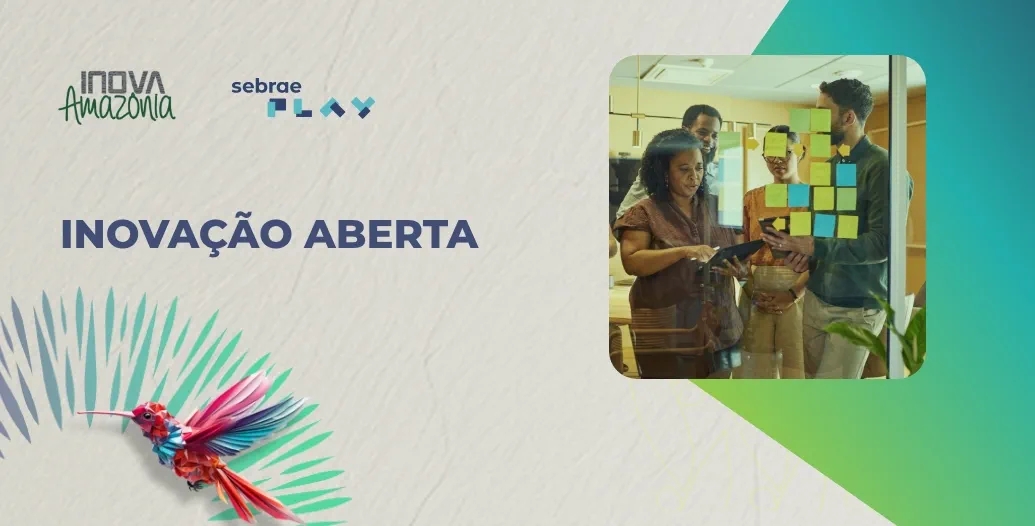 11-Sebrae_Play_Inovacao_aberta.jpg