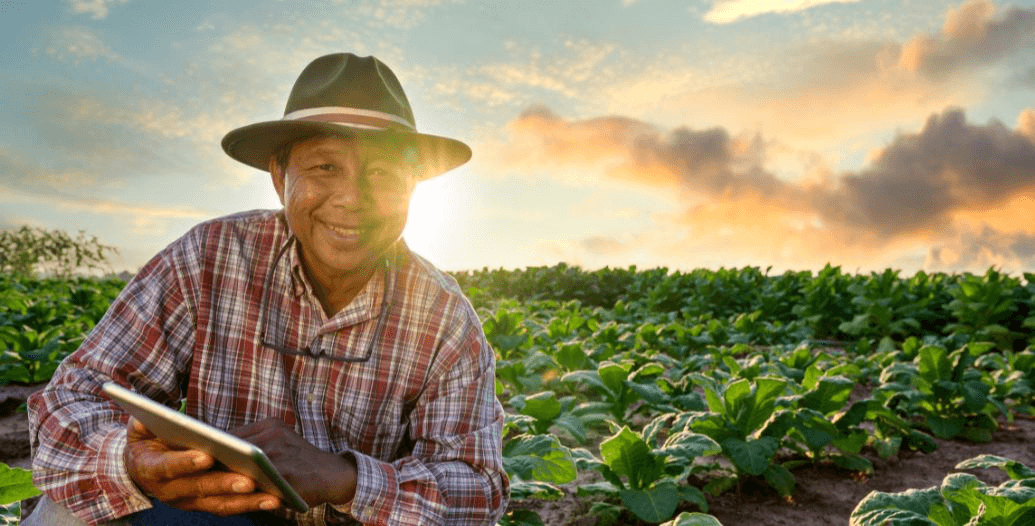 Capa Conteúdos Sebrae Play.jpg
