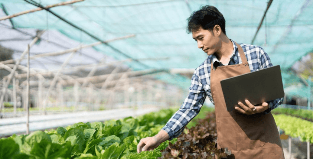 Capa Conteúdos Sebrae Play (6).jpg