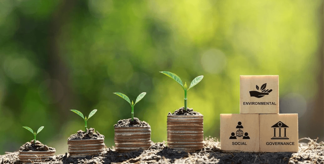 Capa Conteúdos Sebrae Play (11).jpg