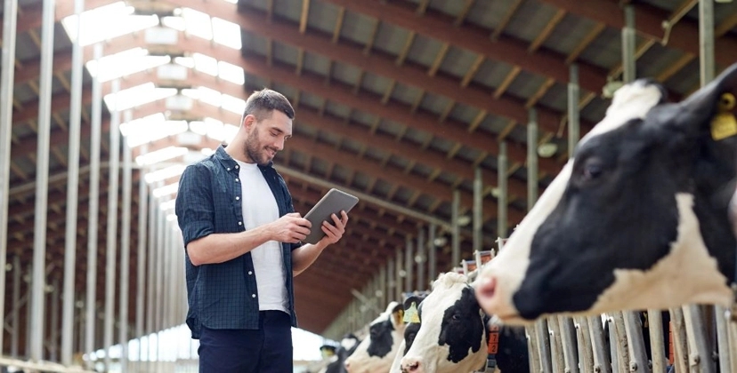 Capa Conteúdos Sebrae Play.jpg