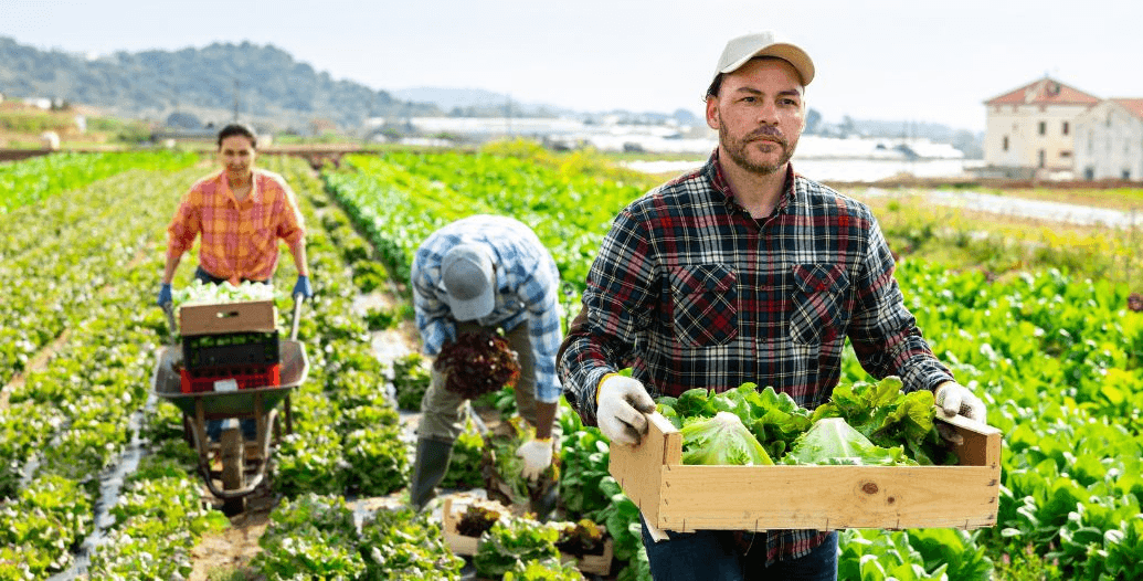 Capa Conteúdos Sebrae Play (1).jpg