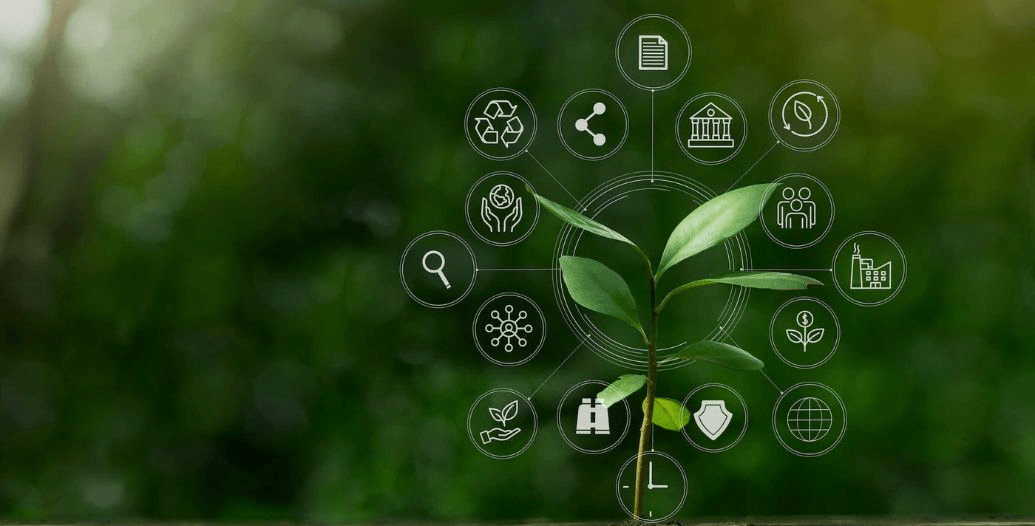 Capa Conteúdos Sebrae Play (15).jpg