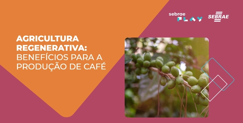 2-Sebrae_Play_semana_cafe.png