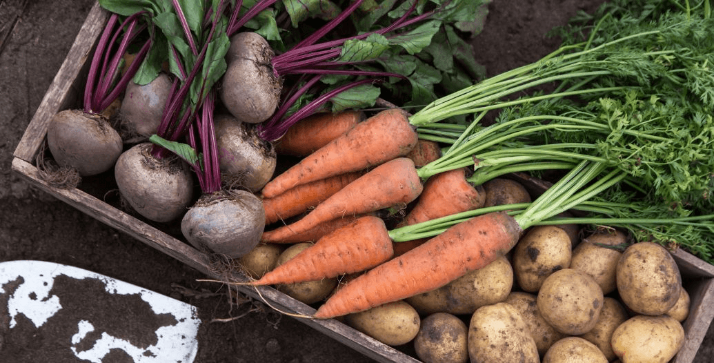 Capa Conteúdos Sebrae Play (3).jpg