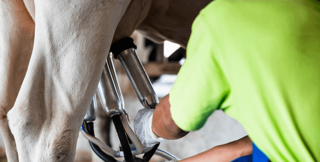 Capa Conteúdos Sebrae Play (1).jpg