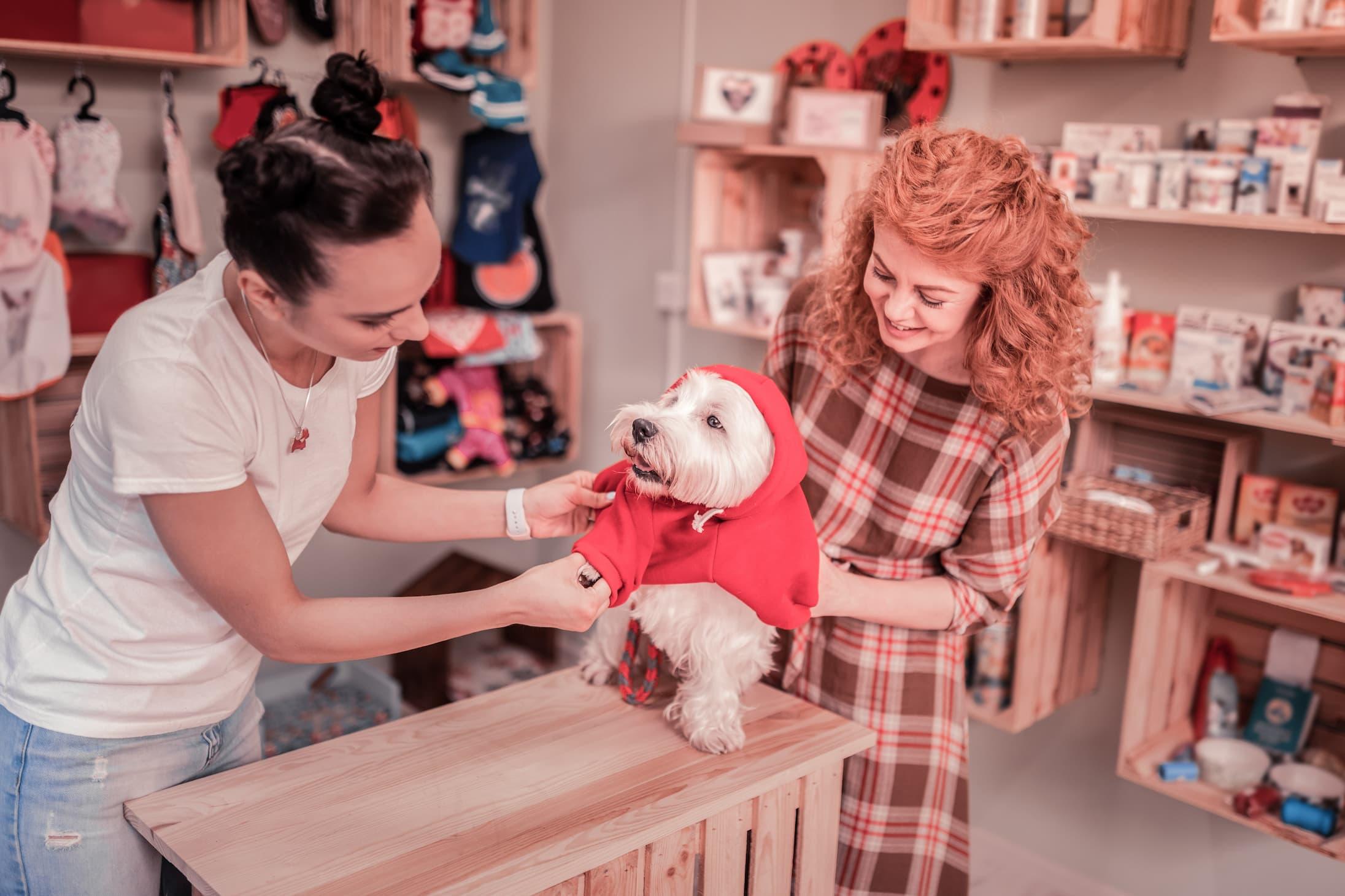 Sebrae Minas - Como aplicar os princípios do design de serviços em um Pet shop 