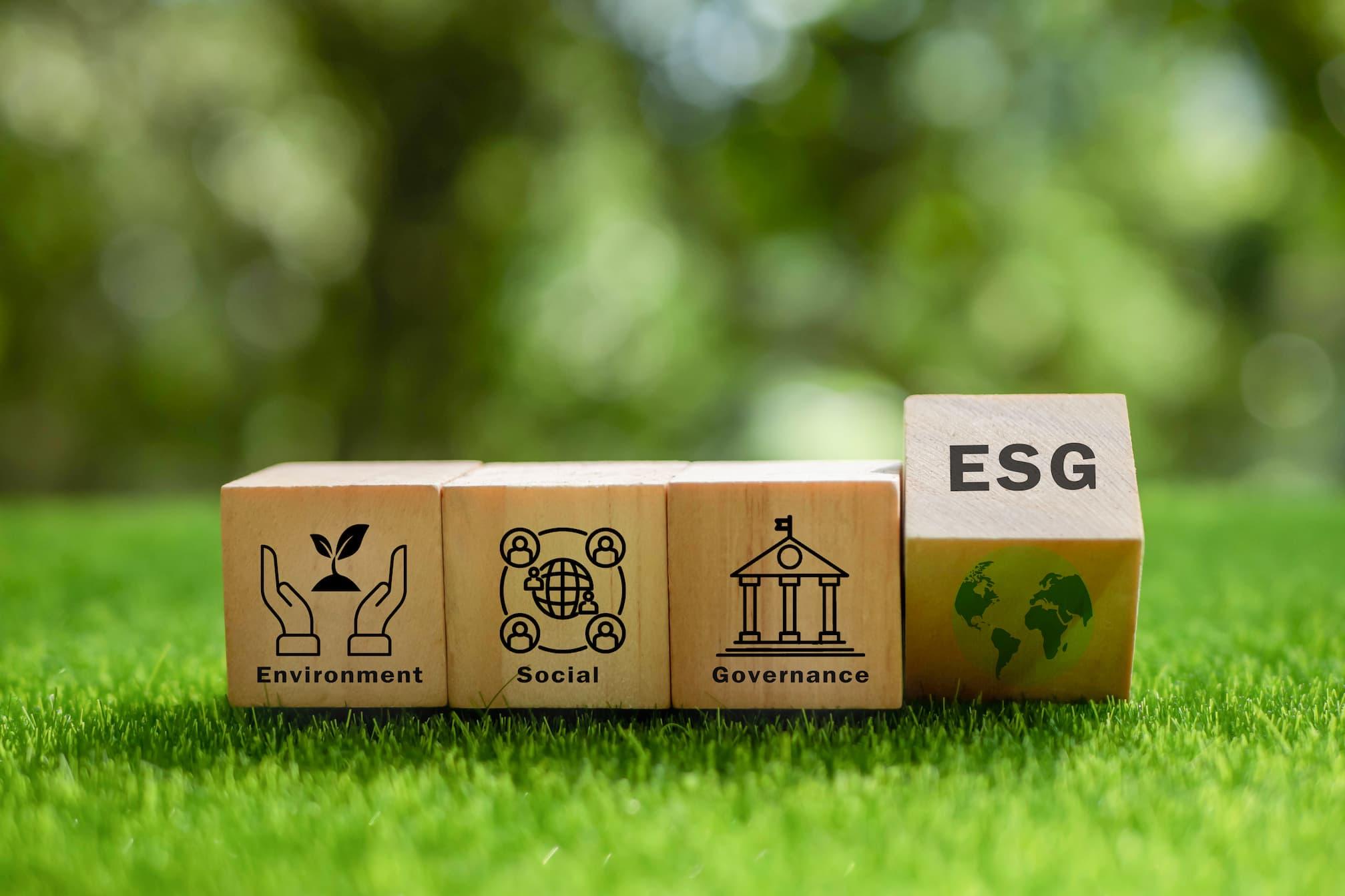 Sebrae Minas - Inovação inclusiva e futuros possíveis com foco em ESG