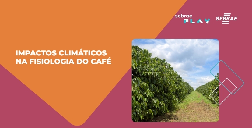 18-Sebrae_Play_semana_cafe.png