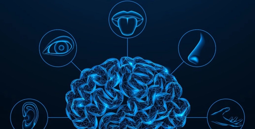 Capa Conteúdos Sebrae Play.jpg