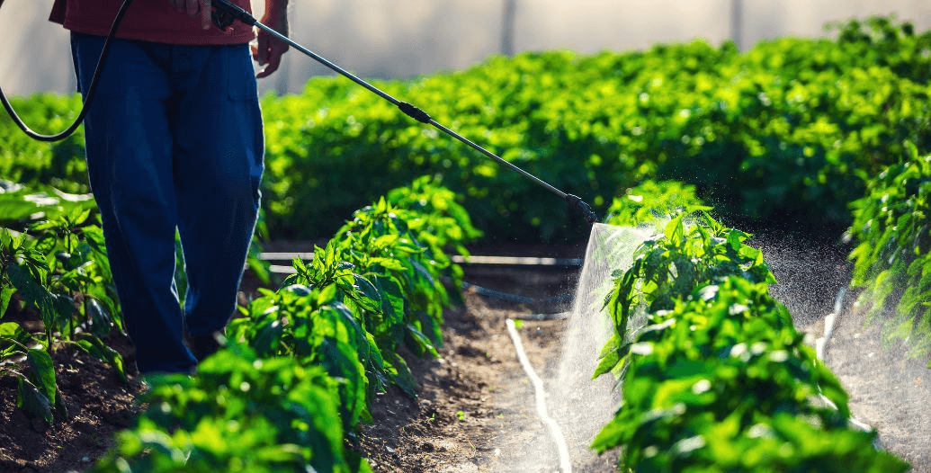 Capa Conteúdos Sebrae Play.jpg