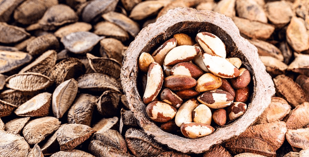 Capa Conteúdos Sebrae Play (13).jpg