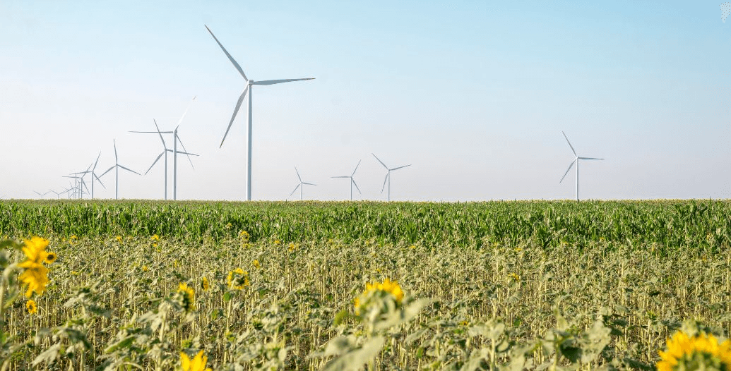 Capa Conteúdos Sebrae Play (1).jpg