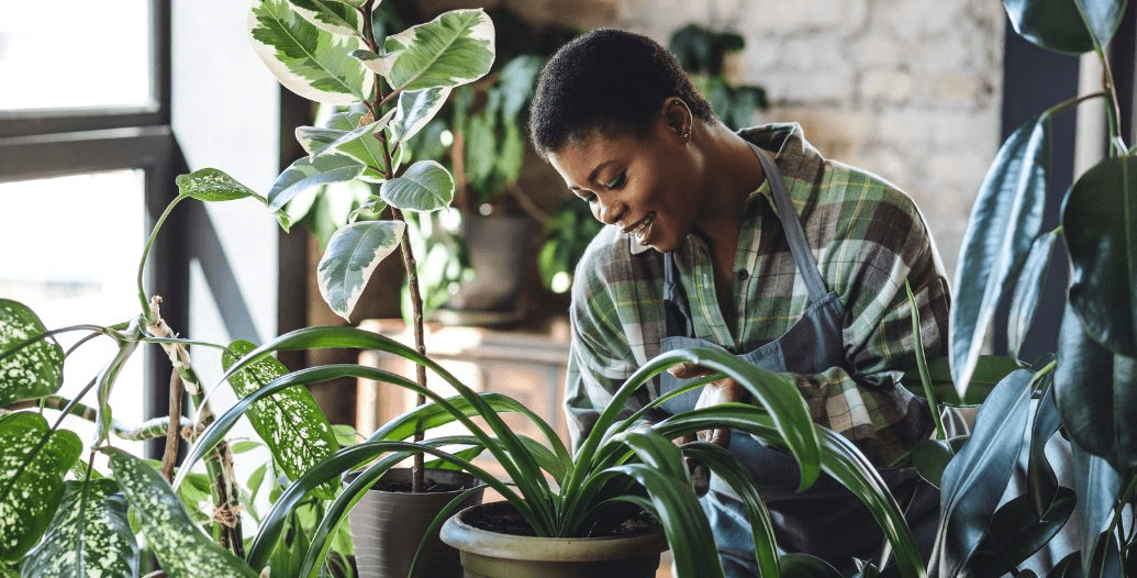 Capa Conteúdos Sebrae Play.jpg
