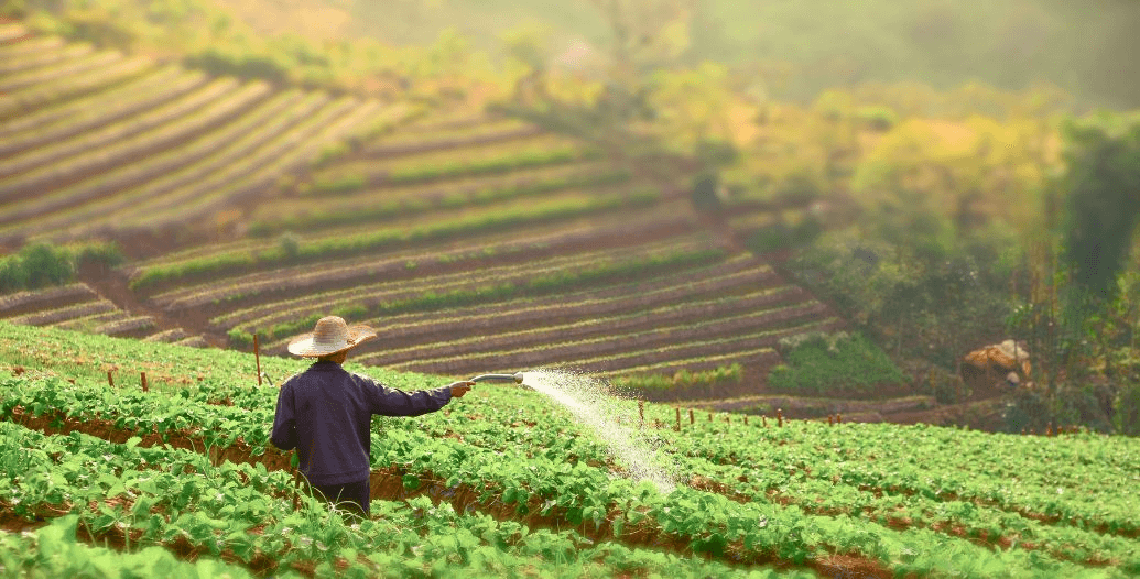 Capa Conteúdos Sebrae Play (1).jpg