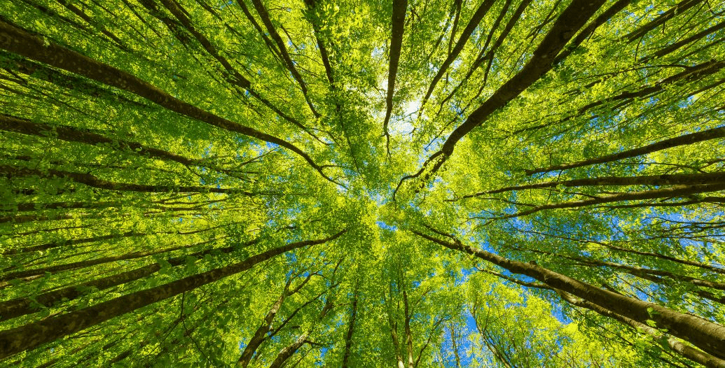 Capa Conteúdos Sebrae Play (13).jpg