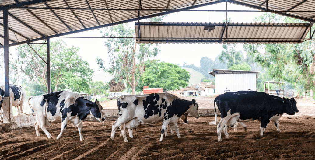 Capa Conteúdos Sebrae Play (1).jpg