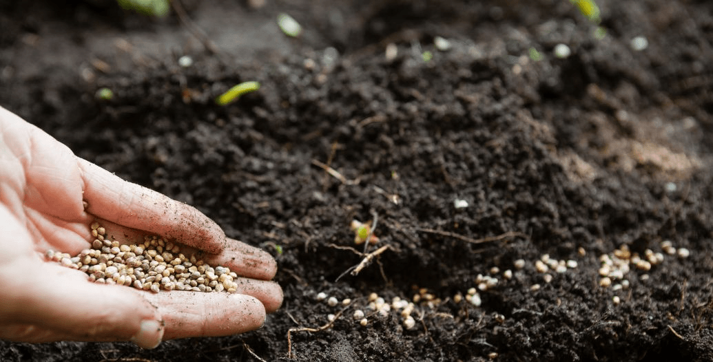 Capa Conteúdos Sebrae Play (4).jpg