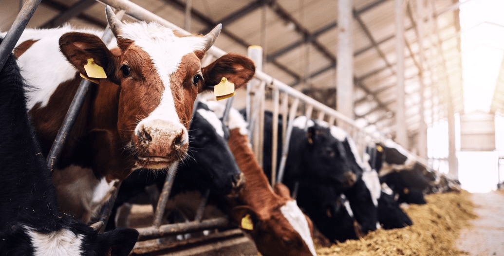 Capa Conteúdos Sebrae Play (15).jpg