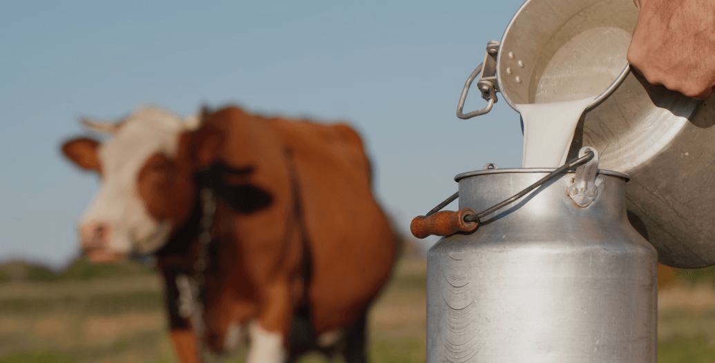 Capa Conteúdos Sebrae Play (1).jpg