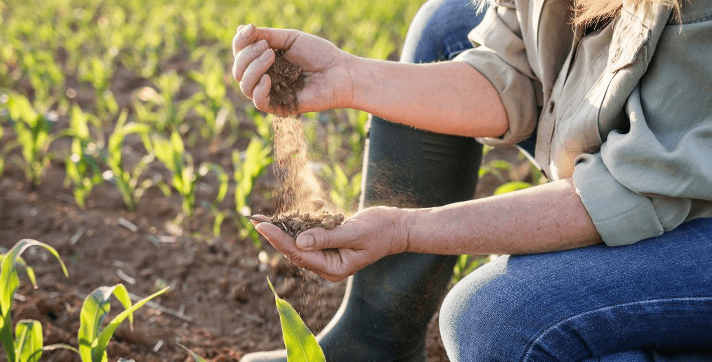 Capa Conteúdos Sebrae Play (3).jpg