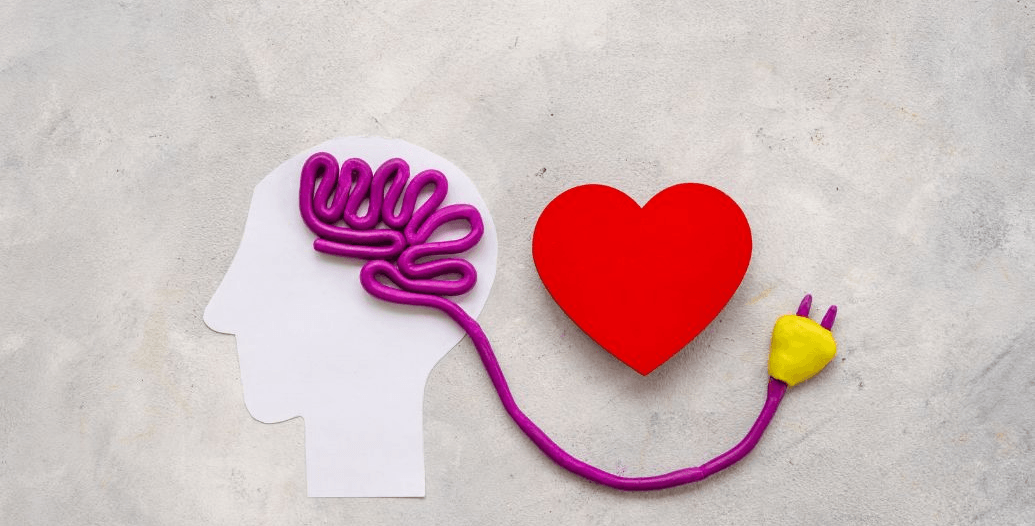 CAPA CONTEÚDOS NOVO.jpg