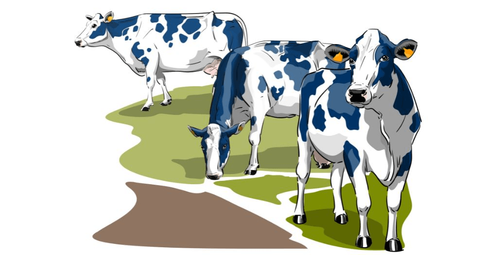 Capa Conteúdos Sebrae Play (1).jpg